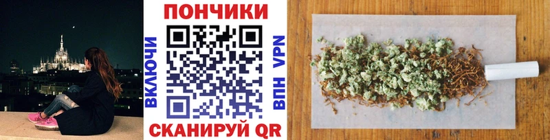 хочу   Кохма  Бошки марихуана SATIVA & INDICA 